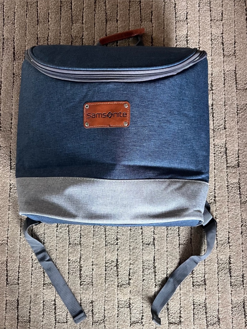Samsonite Men's Two-Tone Blue Backpack Cooler